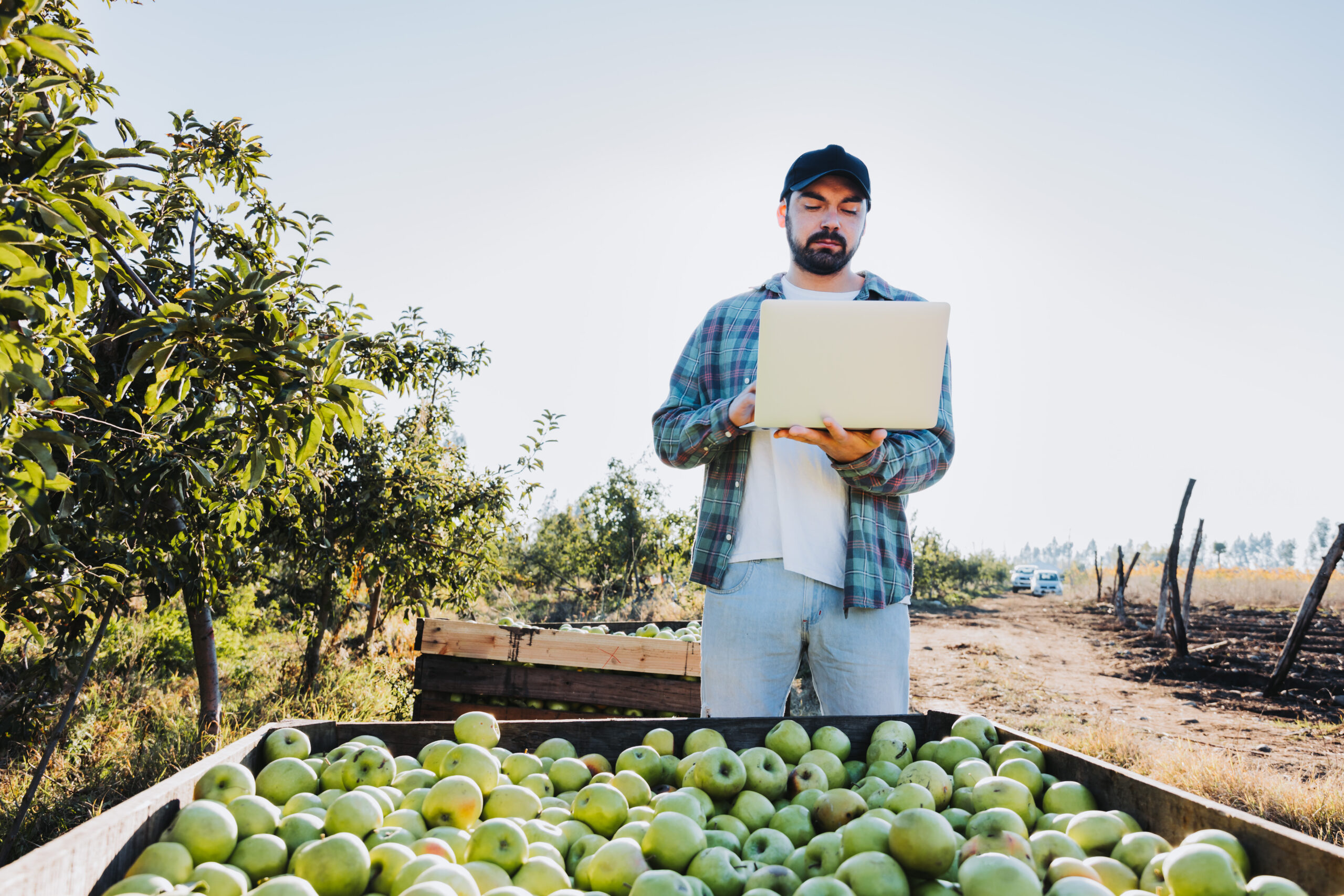 Lunch & Learns For Producers