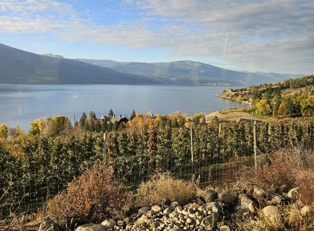 Share Your Input: Farmer Usage of a Compost Facility in Penticton